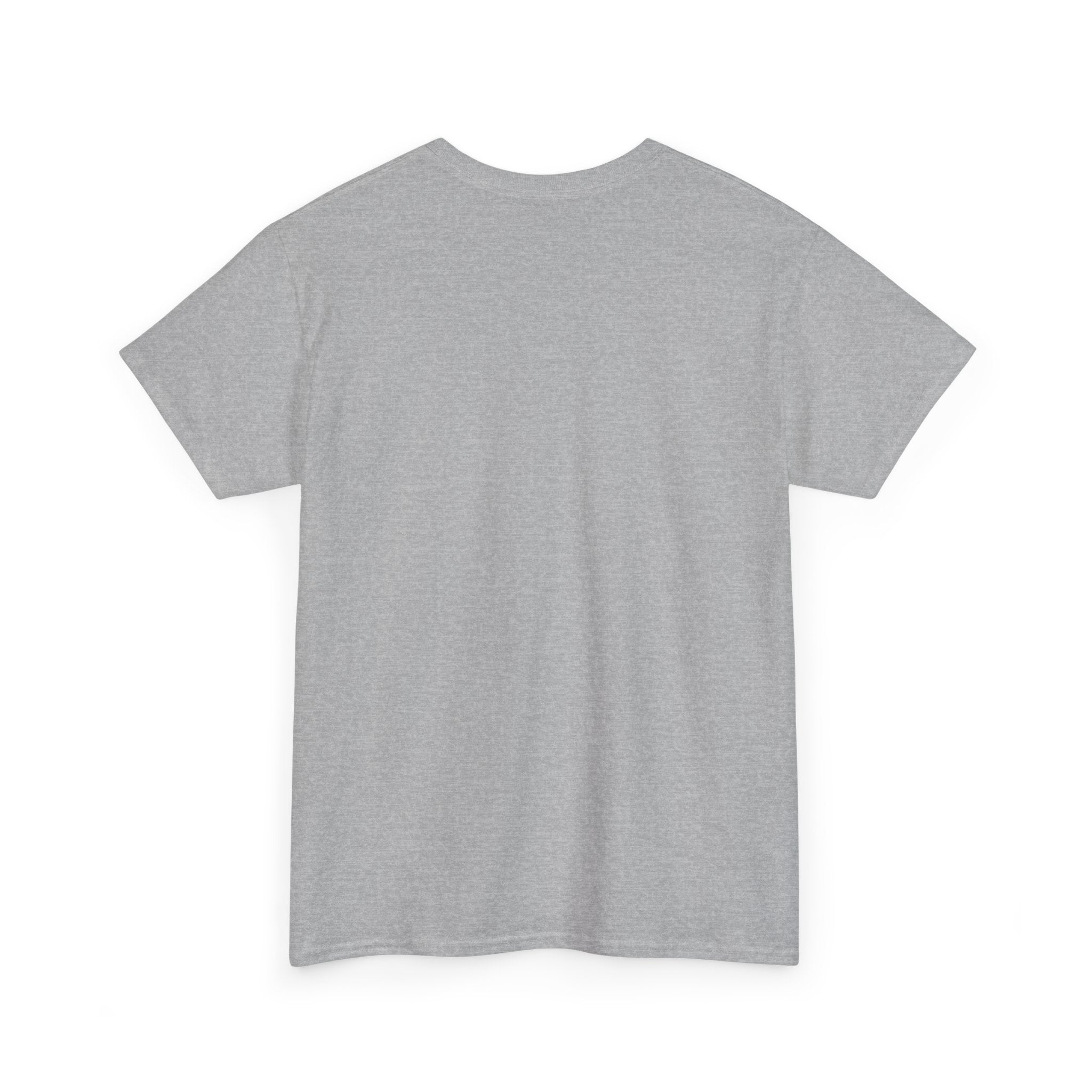 Copy of Unisex Heavy Cotton Tee - DETROIT WINGED, black