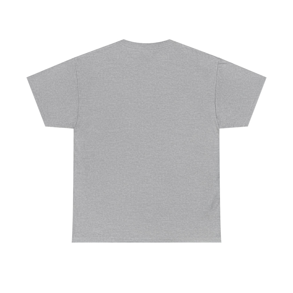 Copy of Unisex Heavy Cotton Tee - DETROIT WINGED, black